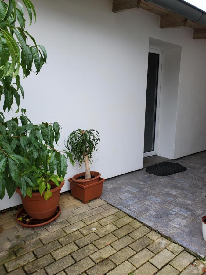 Apartman Stary Liskovec Brno Eksteriør bilde